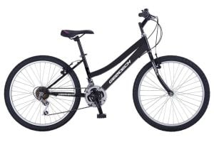 Geotech 26 Econ 2 26 Jant Dağ Bisikleti